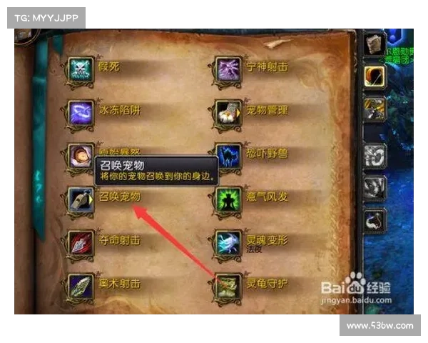 魔兽世界特殊技能栏展示之探秘与优化